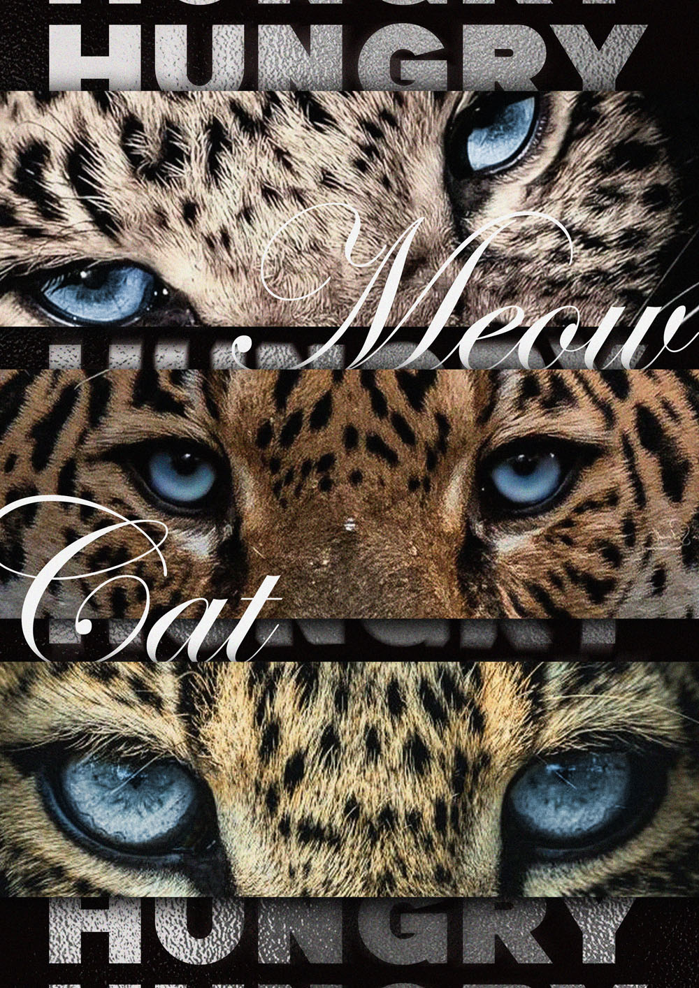 gepard